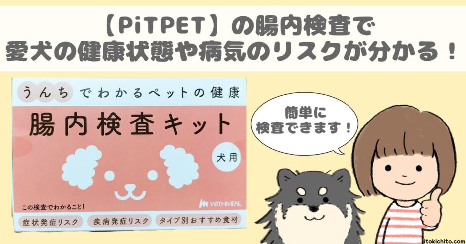 Pitpetアイキャッチ